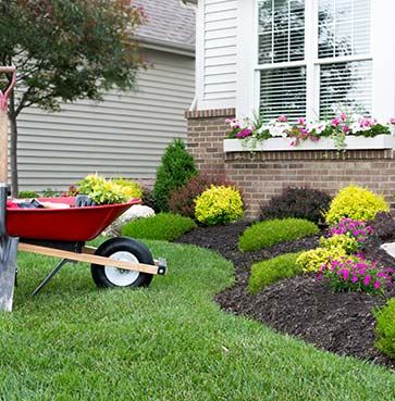 Carrada's Lawn Care Services & House Cleaning