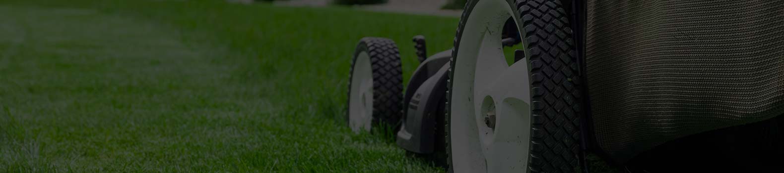 top-banner